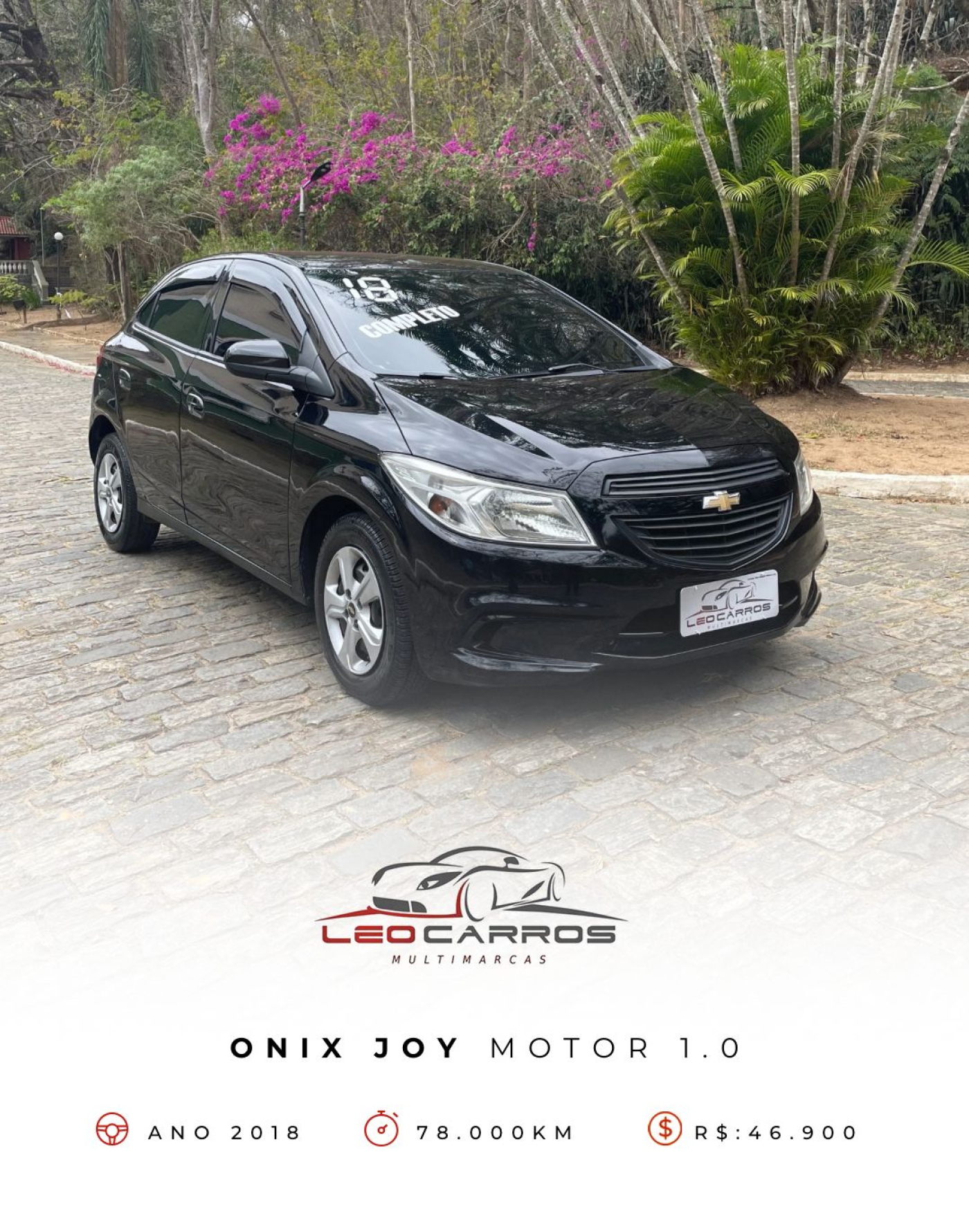 ONIX JOY 2018