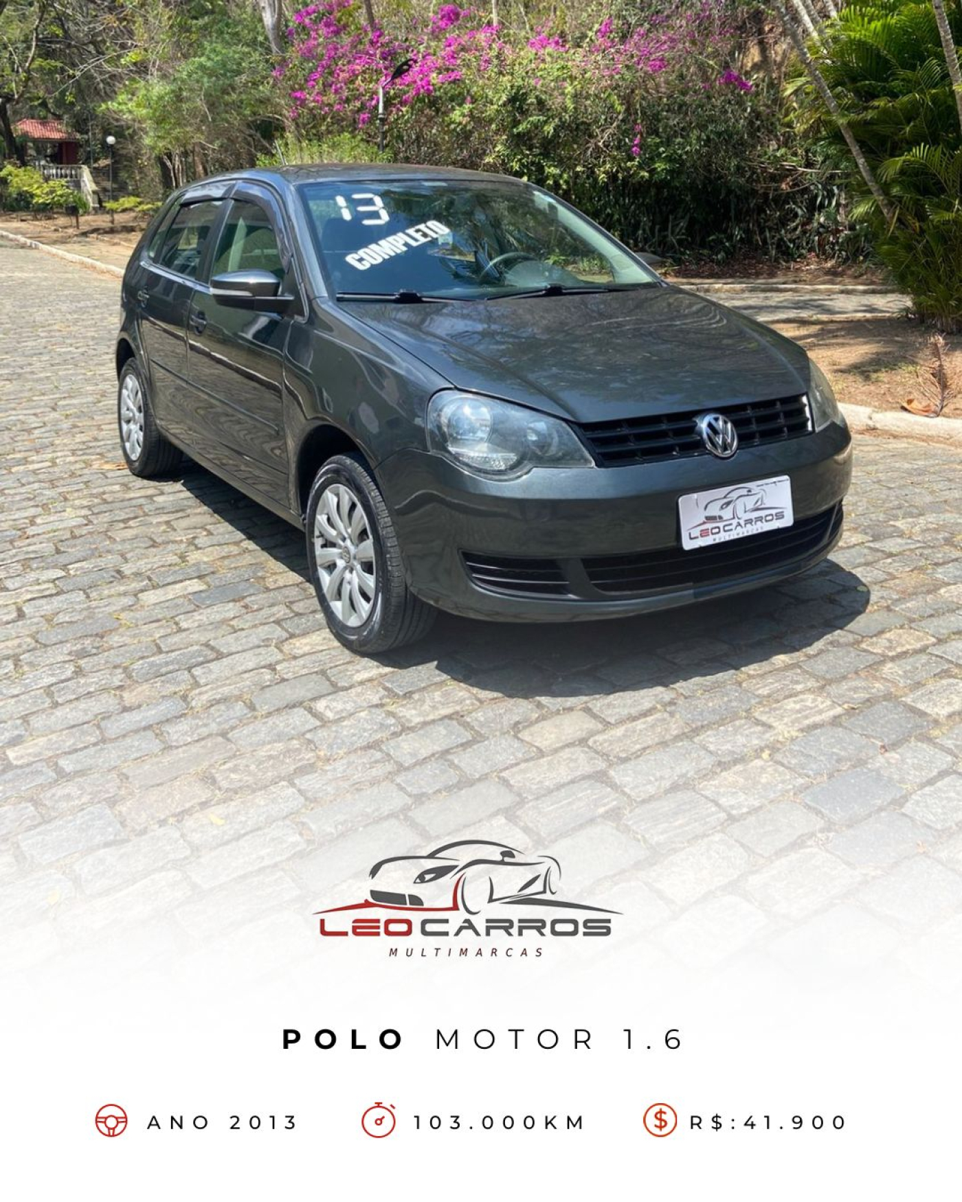 POLO 2013